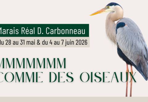 Poster: MMMMMMM Comme des oiseaux, Marais Réal D.-Carbonneau, Thursday, May 28