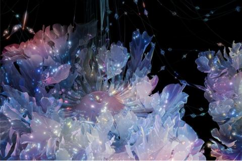 Poster: Inframonde [Survey of Waves] et Floralia – Sabrina Ratté