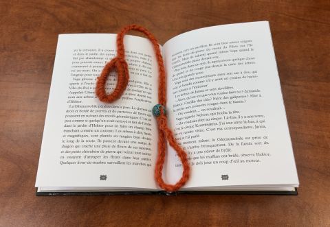 Poster: Le bracelet de lecture (10 à 13 ans)