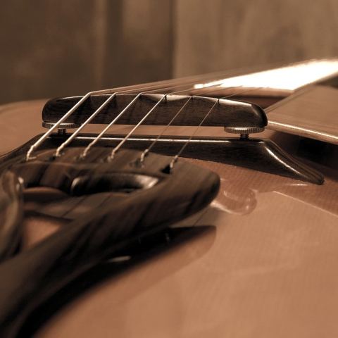 Photo of Benoît Lavoie Luthier