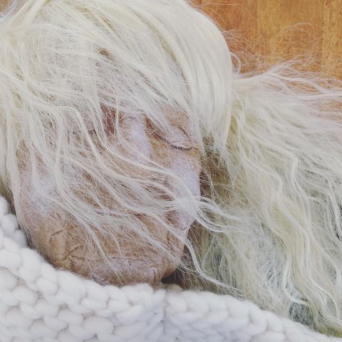Photo of Karine Leblanc – La Tête Salée