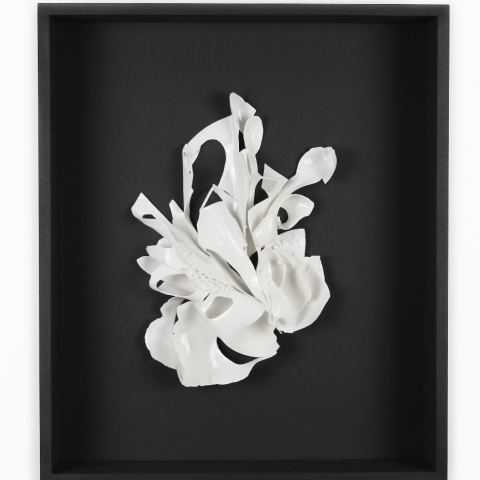 Photo of Stephanie Flowers