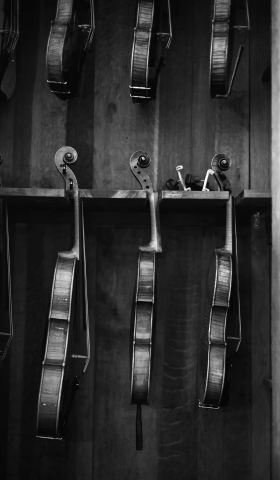 Photo of Guillaume Turgeon Luthier