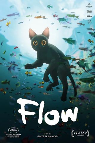 Poster: Flow