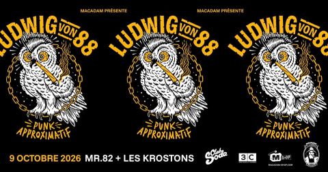 Affiche : Ludwig Von 88, Mr82, Les Crostons