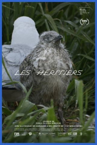Poster: Les héritiers