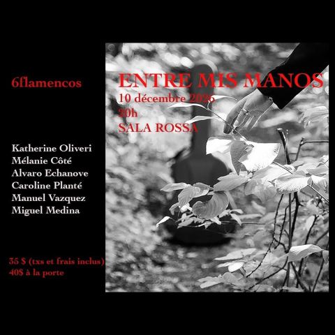 Poster: 6flamencos / Entre mis manos