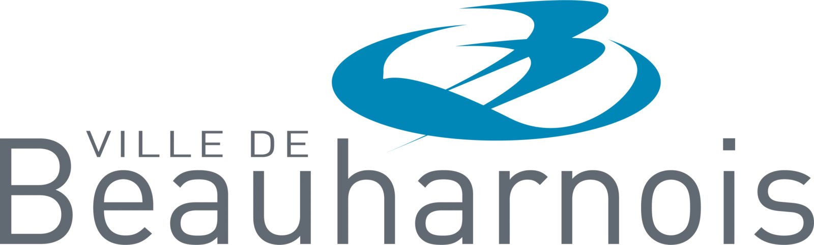 Bibliothèque Dominique-Julien logo