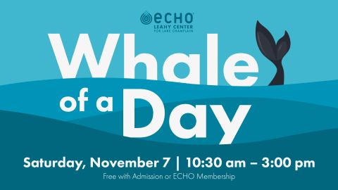 Poster: Whale of a Day