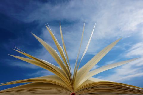 Poster: Club de lecture : Mange, lis, aime