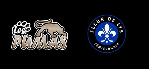 Poster: Parties de hockey des Fleur de Lys et des Pumas, Aréna Cascades, Saturday, December 19