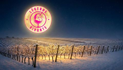 Photo of Vignoble Côte de Vaudreuil