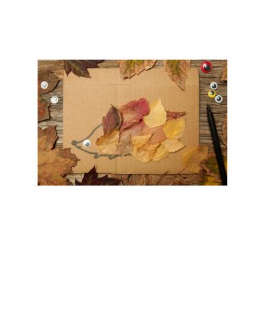Poster: Hérisson d'automne