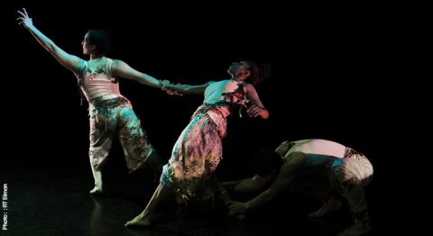Poster: 18.015 - Nouena Danse