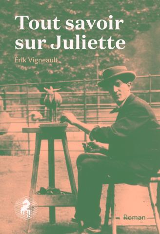 Cover of the book Tout savoir sur Juliette
