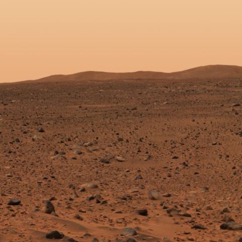 Poster: MARS: Signs of Life