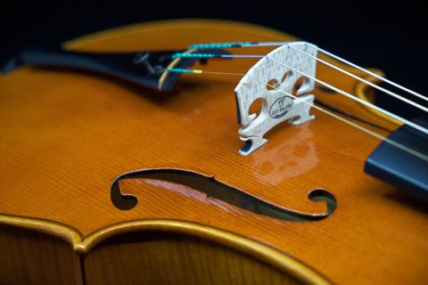 Photo of Les Violons Siolas