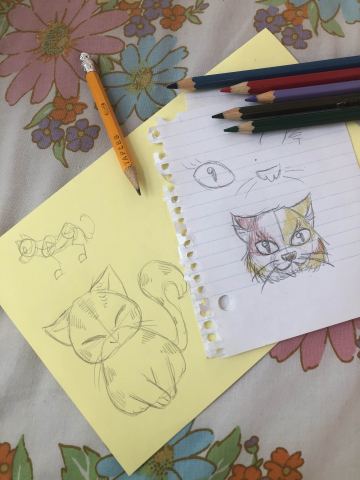 Poster: Dessin manga: les chats
