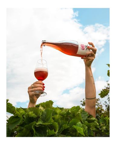 Photo of Vignoble l'Ardennais