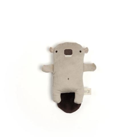 Photo of raplapla