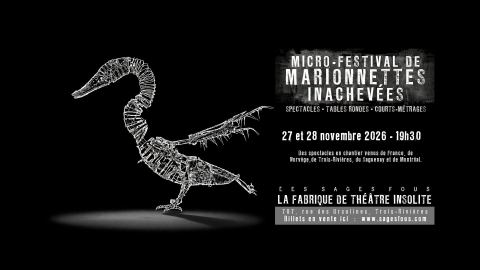 Poster: Micro-festival de marionnettes inachevées (15e édition), La Fabrique de théâtre insolite (Les Sages Fous), Friday, November 27