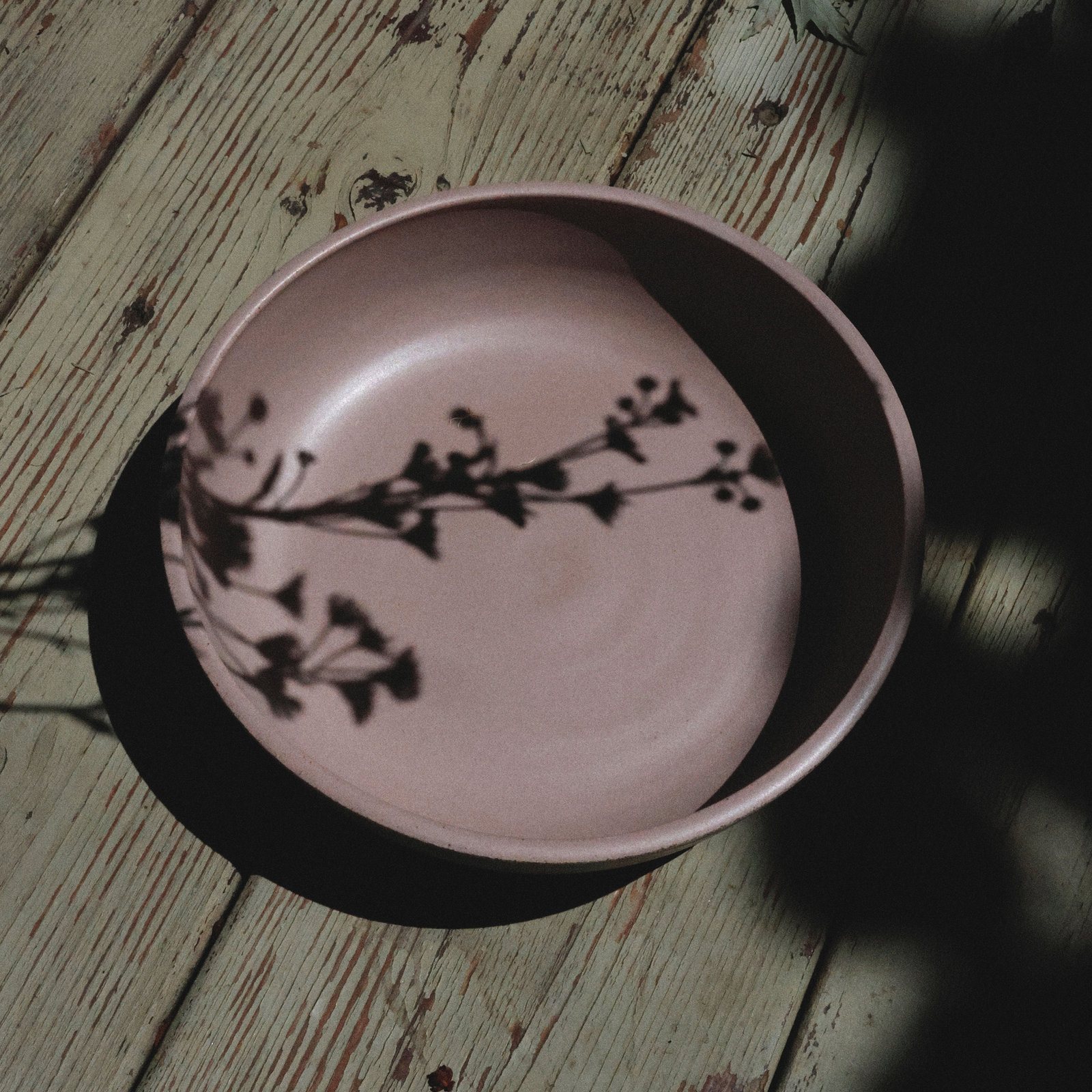 Photo of Julie Rainville