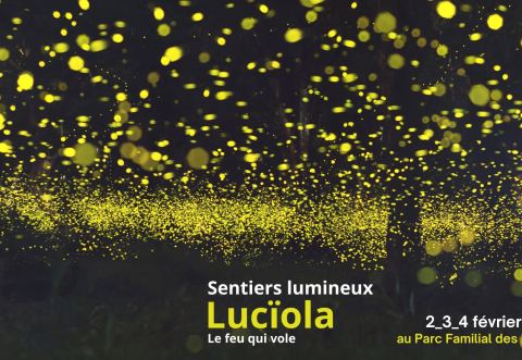 Poster: Sentiers lumineux Lucïola | Plaisirs d'hiver Portneuvois, Parc Familial des Berges, Thursday, February 2