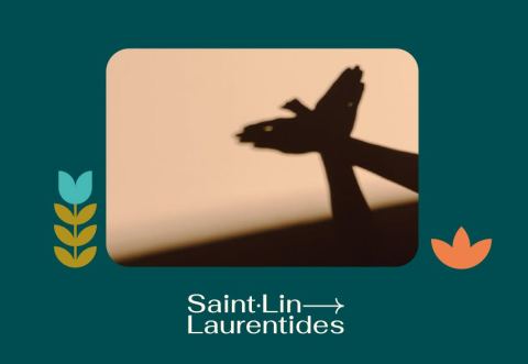 Poster: Fabrication de théâtre d'ombres, Bibliothèque municipale de Saint-Lin–Laurentides, Sunday, November 22