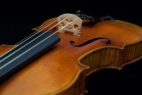 Photo of Les Violons Siolas