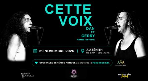 Poster: Dan Bigras — Spectacle bénéfice annuel Fondation Émile-Z Laviolette