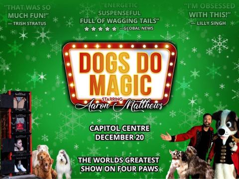 Poster: Dogs Do Magic: A Canine Christmas 2026