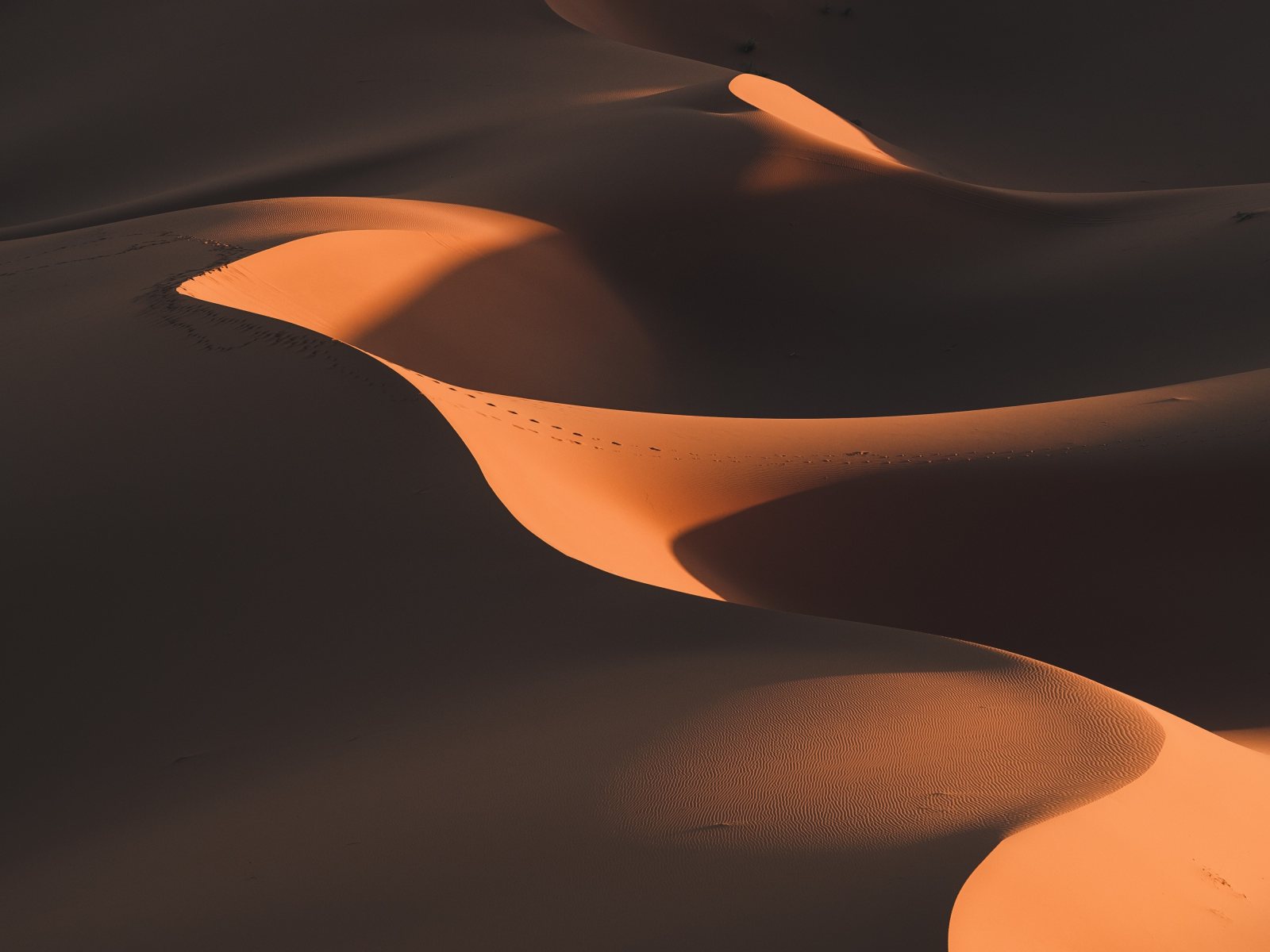 Cabaret scientifique : Le film Dune, de Denis Villeneuve - Science pour tous