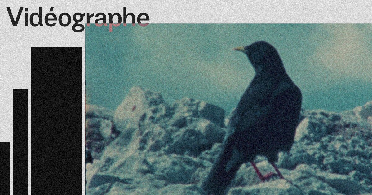 Vidéographe