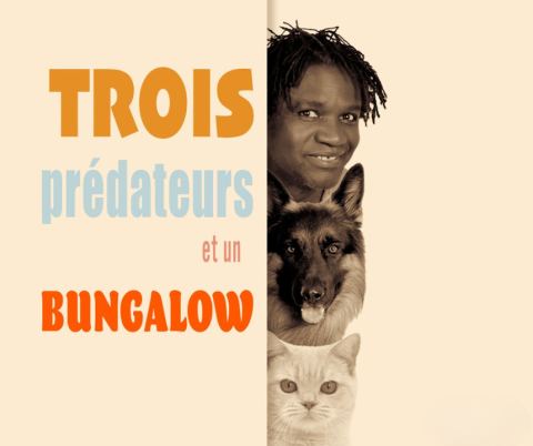 Poster: Boucar Diouf : Trois prédateurs et un bungalow