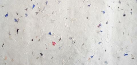 Affiche : Mimos'Art - Fabrication de papier artisanal, Maison de la culture d'Amos, samedi 31 octobre