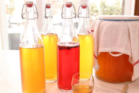 Poster: Apprendre l'art du thé fermenté : le kombucha