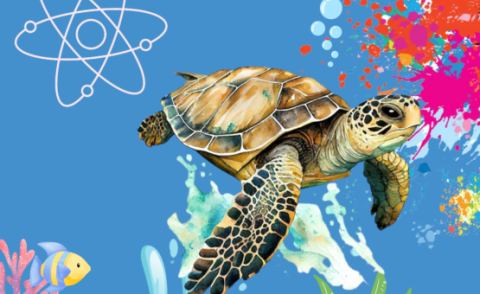 Poster: Atelier scientifique : Les univers fantastiques des tortues, Bibliothèque de Deux-Montagnes, Wednesday, October 21