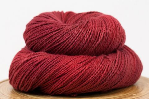 Photo of Sweet Paprika Designs
