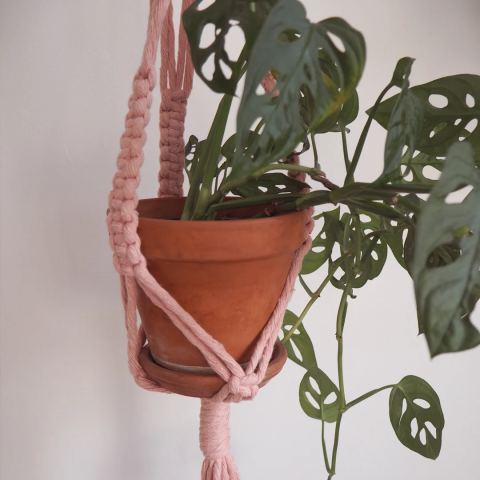 Photo of Porcelaine Sauvage