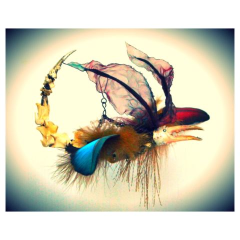 Photo of Ennovy – Yvonne Barreau-Fein