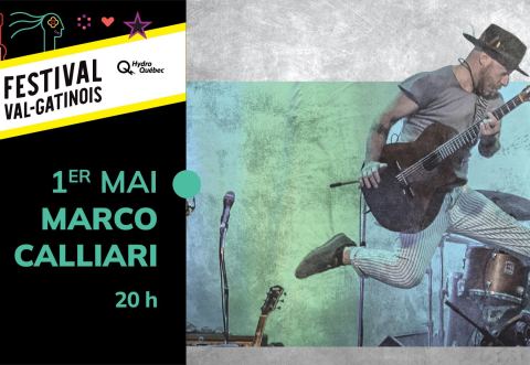 Affiche : Marco Calliari – Festival Val-Gatinois
