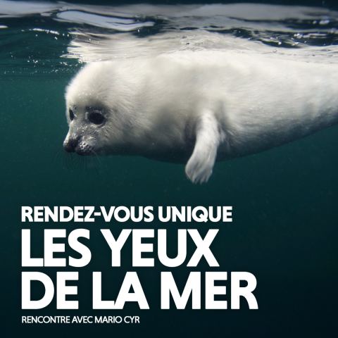 Poster: Les yeux de la mer