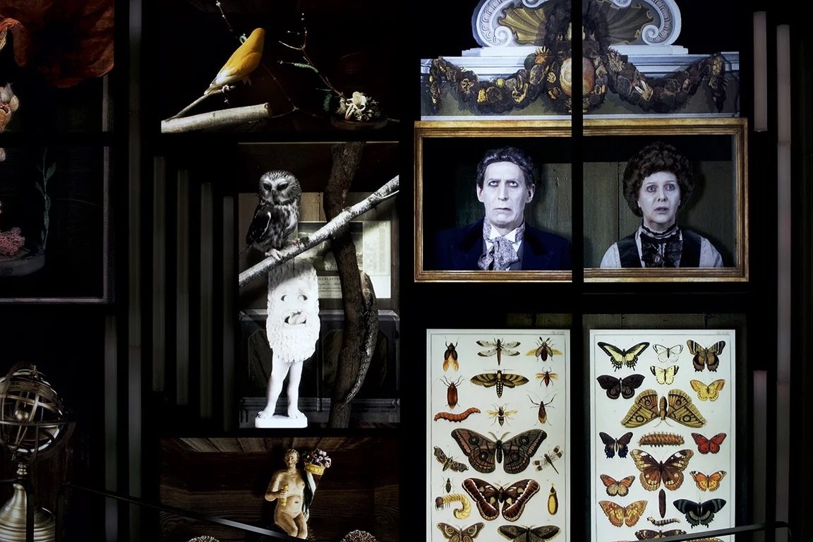 Le jardin des apparitions (symbioses) - Allison Moore et Arthur Desmarteaux