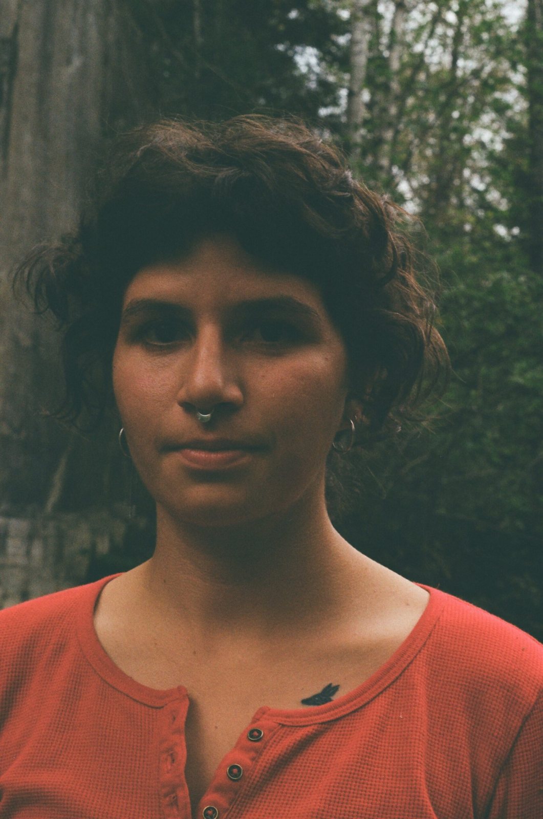 Photo of Laurie Dinardo
