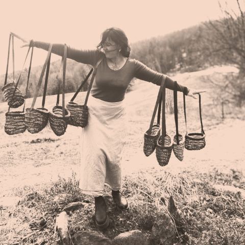 Photo of Sweet Mama Grass