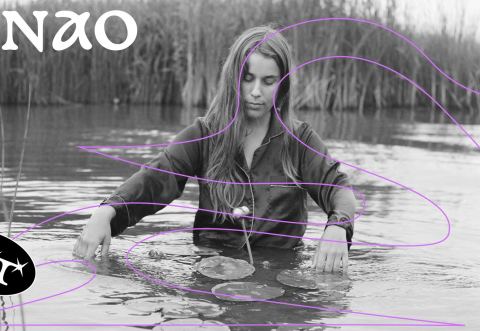 Poster: N NAO @ Quai des brumes, Quai des Brumes, Saturday, February 5