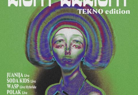 Poster: Light Delight [LD031] // Tekno Live Machine Edition, Taverna, Saturday, January 11