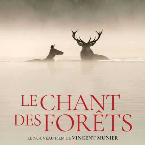 Poster: Le Chant des forêts, Le Carré 150, Monday, November 2