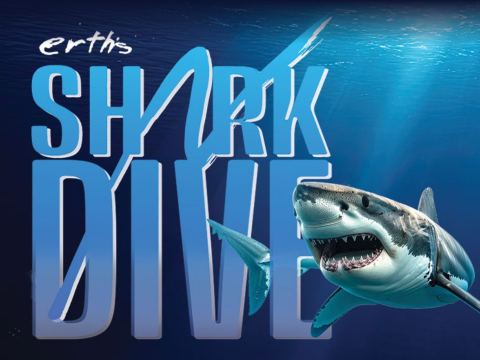 Poster: Erth's SHARK DIVE, The Capitol Centre, Saturday, March 13