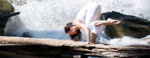 Poster: Classes ouvertes – Yoga prana vinyasa avec Véronique Dumont